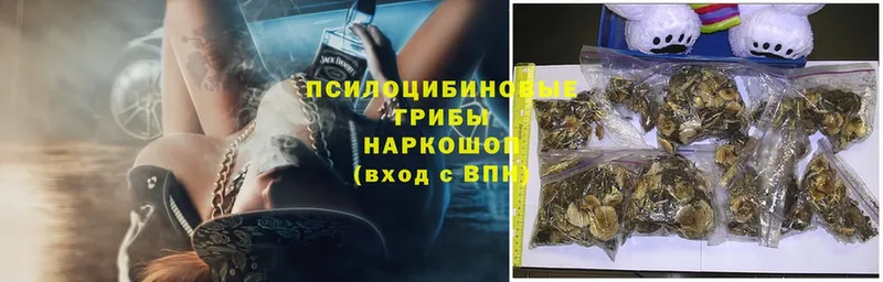 Названия наркотиков Городец Гашиш  Каннабис  АМФ  Мефедрон  Cocaine  СК 