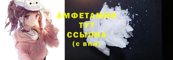сатива Балахна