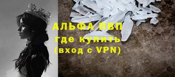 сатива Балахна