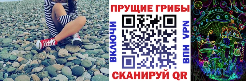 hydra как зайти Городец Галлюциногенные грибы мицелий цены наркотик