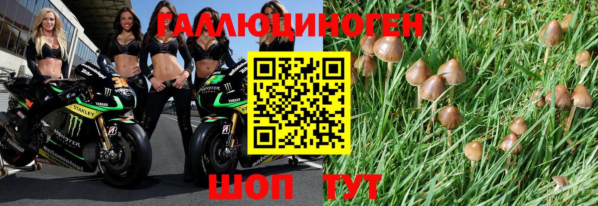 Псилоцибиновые грибы MAGIC MUSHROOMS Городец