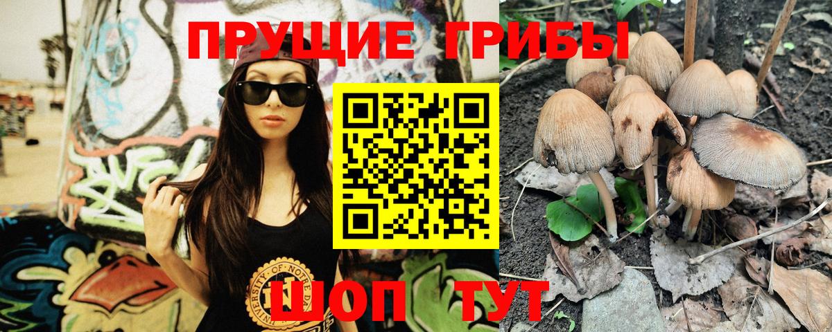 Галлюциногенные грибы Cubensis  Вход с VPN  Городец 